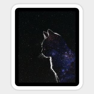 Star Covered Cat Sticker